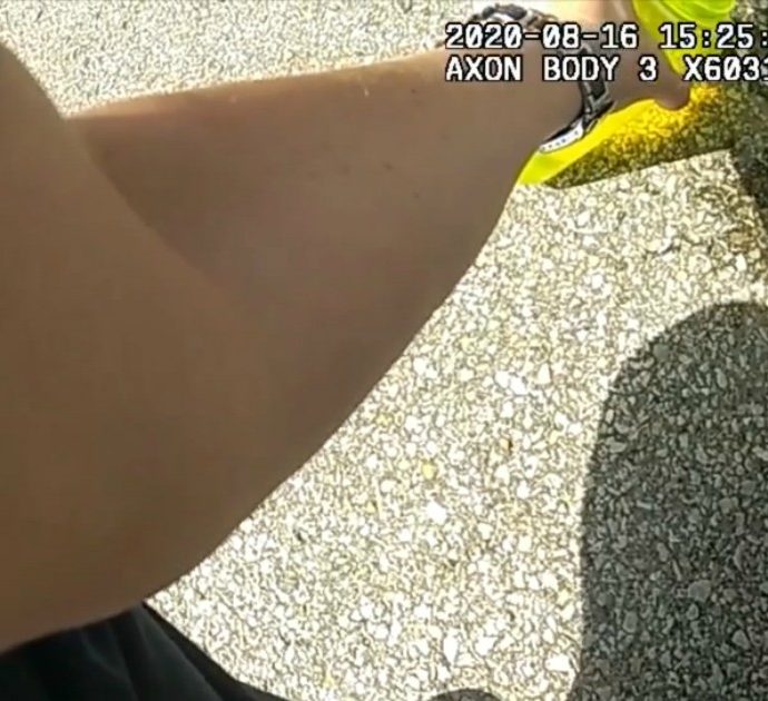 Il cucciolo è chiuso in auto sotto il sole cocente: così un poliziotto americano lo mette in salvo – Video