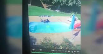 Copertina di Il bimbo sta annegando in piscina, l’amichetto di tre anni lo salva: il video fa il giro del mondo