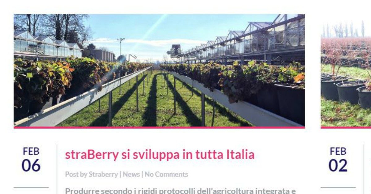 Chi è Il Nobile Stagno D’Alcontres Indagato Per Straberry: Dai Parenti ...