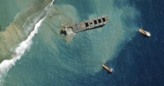 Copertina di “Capelli umani per contenere la marea nera alle Mauritius dopo incidente della petroliera”: l’iniziativa dei parrucchieri australiani