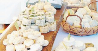 Copertina di “Uccisi dal batterio dei formaggi”. Caseificio svizzero sotto inchiesta dopo la morte di 10 persone nel 2018 per listeriosi