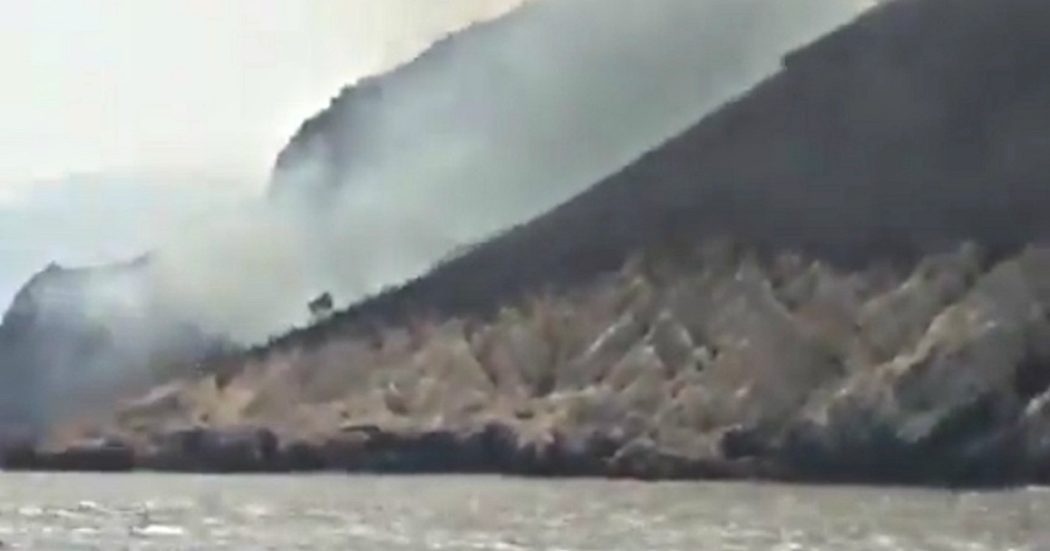 Sicilia, rogo distrugge la riserva naturale dello Zingaro: le immagini dell’area danneggiata dalle fiamme