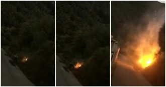 Copertina di Avellino, piromane dà fuoco al bosco e scappa: incastrato dalle telecamere, ora è ai domiciliari