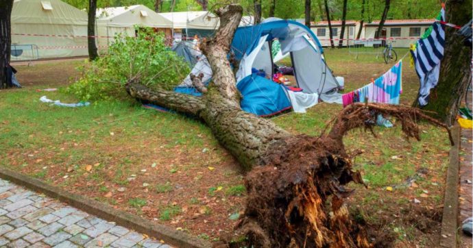 Inchiesta sulla morte delle sorelle schiacciate dall’albero caduto nel campeggio di Massa. L’esperto: “Quel pioppo non era sano”