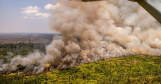 Copertina di Amazzonia distrutta dagli incendi: il governo Bolsonaro è indifferente, ma la colpa è anche dell’Europa (FOTO)