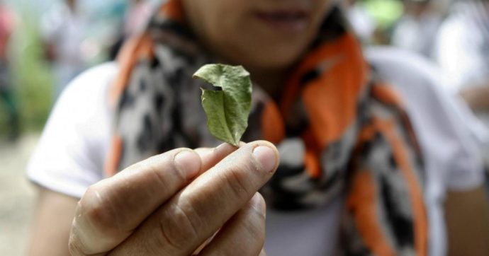 Colombia La Strage Dei Giovani Ammazzati Dove Lo Stato Non C E Coca Paramilitari E La Morte Di Mario Paciolla Tutti I Nodi Della Violenza Il Fatto Quotidiano