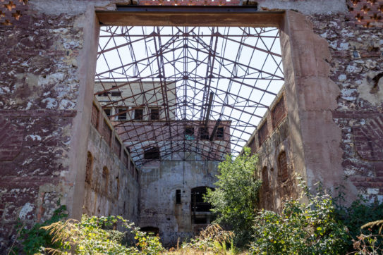 Copertina di Piaga inquinamento nel paradiso di Orbetello: veleni, inchieste e malattie sospette