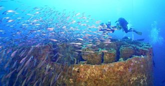 Copertina di Genova, “l’Haven sia area marina protetta”: l’appello della guida subacquea per salvare il relitto più grande del Mediterraneo
