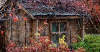 Copertina di Equinozio d’autunno 2025, quest’anno l’estate dura un giorno in più: ecco quando cade e perché il giorno non è sempre lo stesso