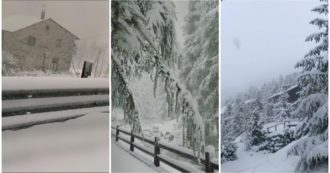 Copertina di Alta Valtellina, la prima neve a Livigno: le immagini degli alberi e delle strade imbiancate