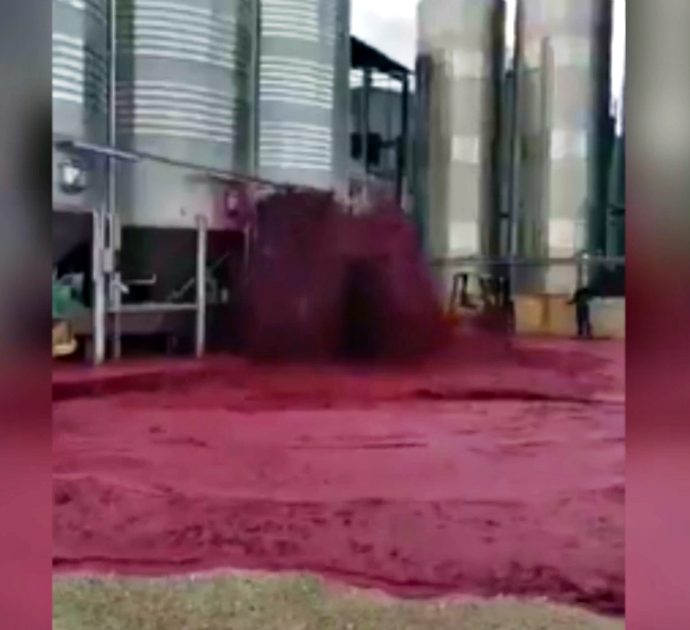 Quando lo spreco fa infuriare: esplode la vasca e 50mila litri di vino rosso finiscono in strada