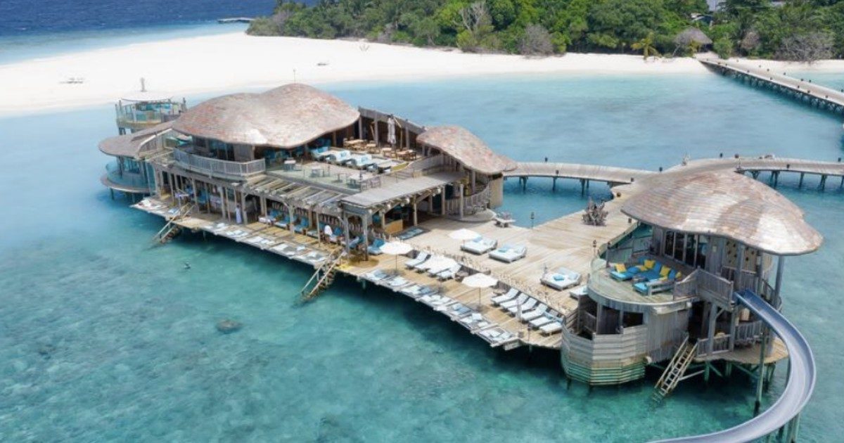 Vuoi andare alle Maldive a fare il libraio? Ecco l’opportunità di lavoro offerta da un resort di lusso