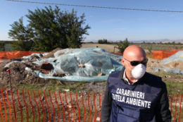 Copertina di Terra mia, la stretta agli ecoreati salta ancora: renziani contrari, non va in cdm la legge con daspo ambientale e pene più severe