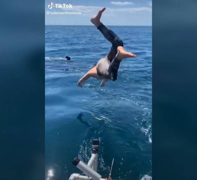 Ragazzo si tuffa in acqua per nuotare con un pesce innocuo: ma è uno squalo bianco. Il video dell’incontro ravvicinato in Usa