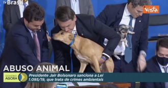 Copertina di Bolsonaro fa firmare al suo cane la legge sugli abusi contro gli animali (ma Nestor non ne sembra entusiasta)