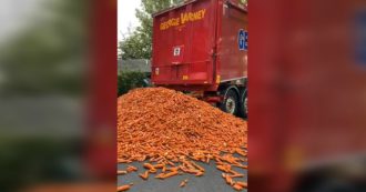 Copertina di Tonnellate di carote riversate in strada: il video della curiosa installazione a Londra. Ecco perché