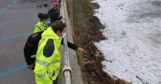 Copertina di Maltempo, trovati 5 cadaveri in Liguria tra i detriti a riva. Il sindaco di Sanremo: “Forse dispersi francesi”. Allerta in Emilia per il Po