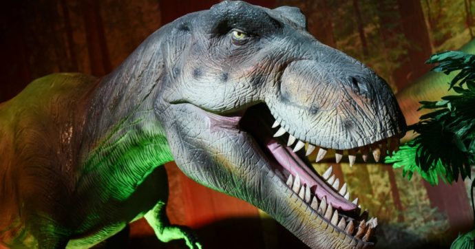 Anche i dinosauri avevano “tosse, febbre e infezioni alle vie respiratorie”. La nuova scoperta: “Ho visto spesso cose strane, ma mai nulla di simile”