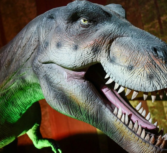 Cranio di dinosauro Triceratopo venduto all’asta per 587 mila euro: è record mondiale