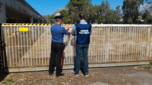 Copertina di Stabilimento tessile di Praia a Mare: per i pm, gli operai non erano stati informati dei rischi