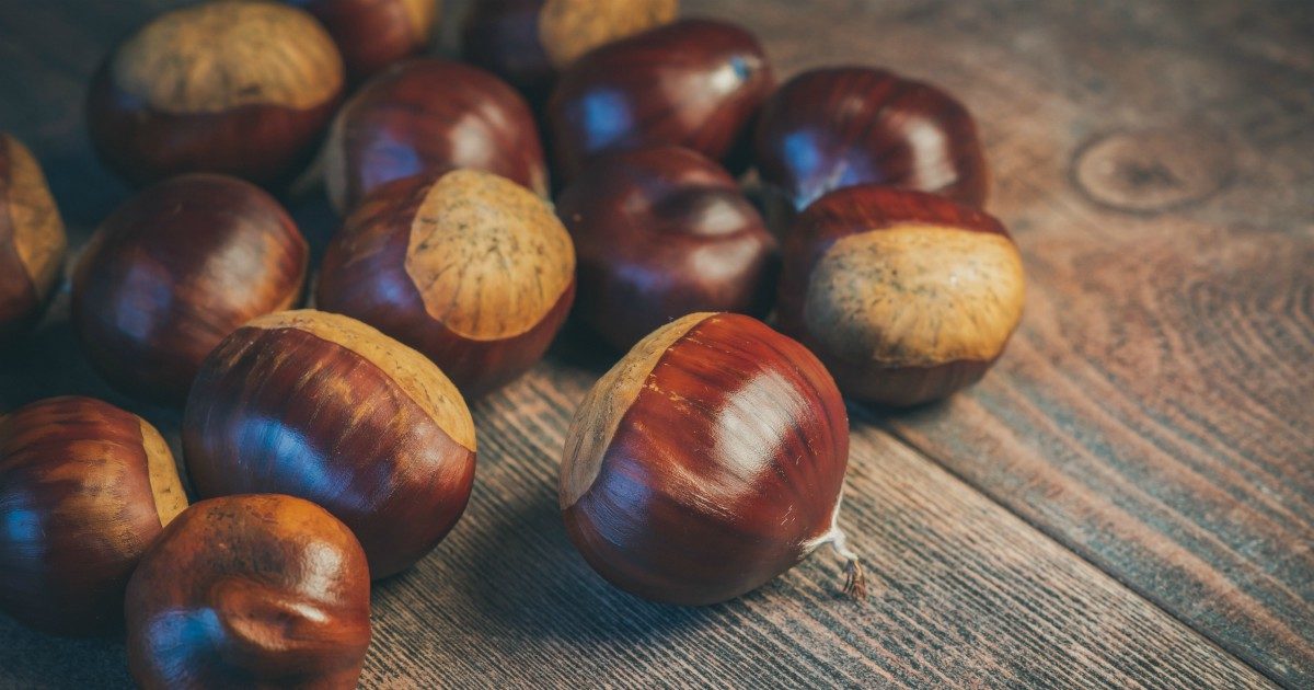 Castagne, dalle proprietà benefiche alle controindicazioni. Ecco le migliori ricette