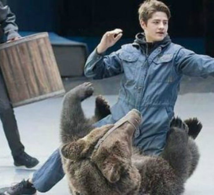 “Parlo con l’orso”, aspirante addestratore entra di nascosto nella gabbia del circo e muore sbranato a 28 anni