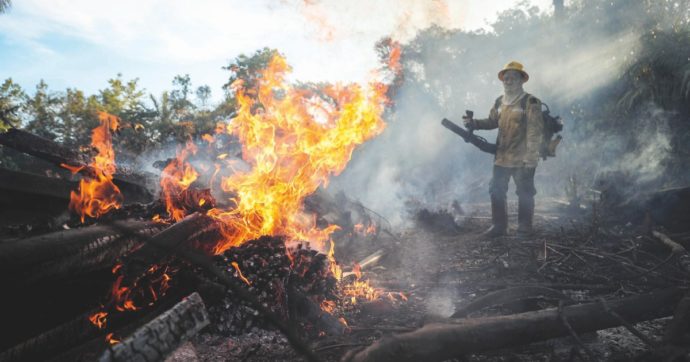 Copertina di L’Amazzonia saccheggiata  “Incendi, è il momento di speculatori e narcos”