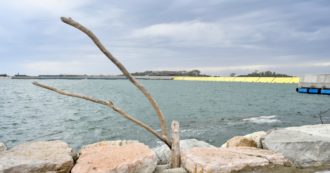 Un ‘Mose’ nel Mare del Nord per proteggerci dall’innalzamento delle acque? C’è chi ci pensa