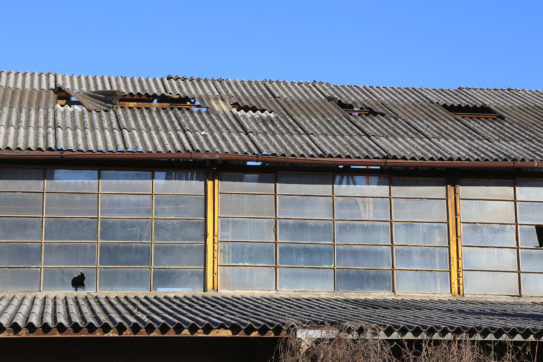 Amianto/7: il nuovo diritto penale si deve misurare con l’incertezza dell’evento (così come lo abbiamo considerato finora)