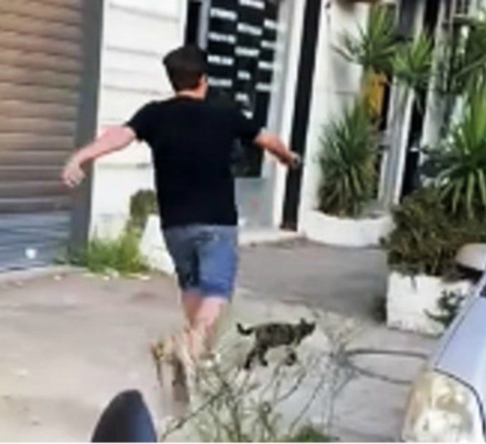 Prende a calci un gatto e lo riduce in fin di vita sbattendolo contro un muro: gli amici pubblicano il video su TikTok, polemiche sui social