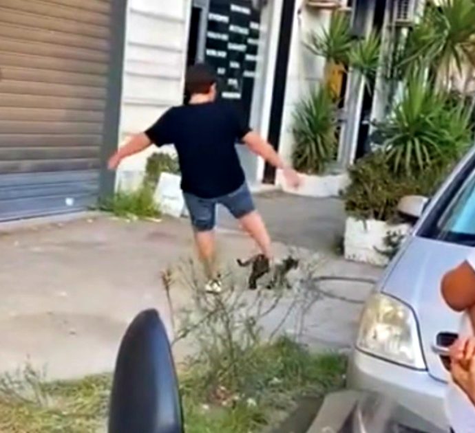 Napoli, dà un calcio a un gatto per strada e lo uccide: il video finisce sui social, due minori denunciati