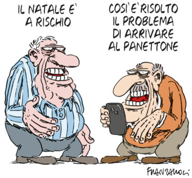 Copertina di La vignetta di Franzaroli