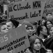 Copertina di La vena “green” del rock mondiale, da Woodstock a Joni Mitchell a Star Bucks