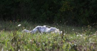 Copertina di Trento, non si è suicidato il cacciatore 24enne trovato morto in un bosco: colpito alla nuca da almeno mezzo metro