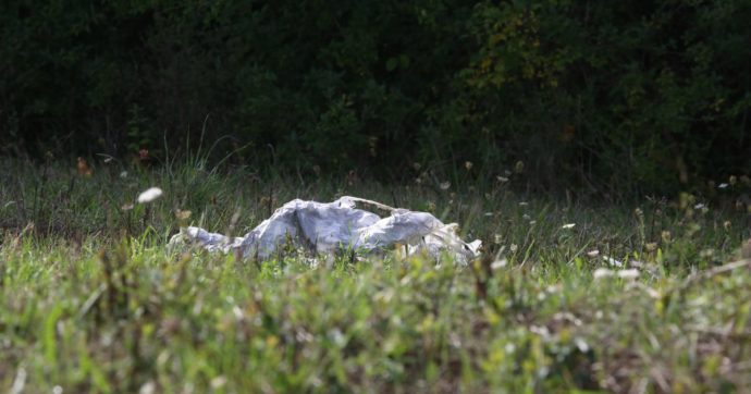 Trovato un cadavere fatto a pezzi dentro due buste in un bosco sul litorale vicino a Roma