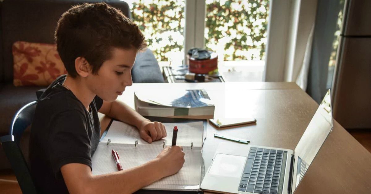 Didattica a distanza, tornano le lezioni da casa: dalla formazione (poca) ai pc mancanti. E si teme salti la rete per i prof collegati da scuola