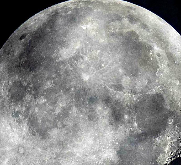 Una “banca del seme” da mandare sulla Luna per proteggere la vita sulla Terra: lo studio
