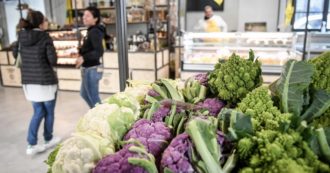 Copertina di I cibi essenziali per il nostro cervello? Ecco quali sono (e perché non vanno assunti come integratori)