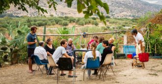 Copertina di Sicilia, in un terreno confiscato alla mafia la prima Food Forest dell’isola: “Filo diretto tra produttori e consumatori senza intermediari”