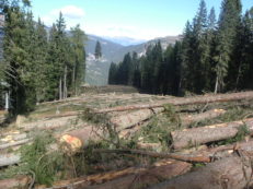 Copertina di Montagne distrutte, torrenti deviati e costi in aumento: quando sciate fateci caso