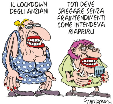 Copertina di La vignetta di Franzaroli