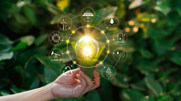 storie green society