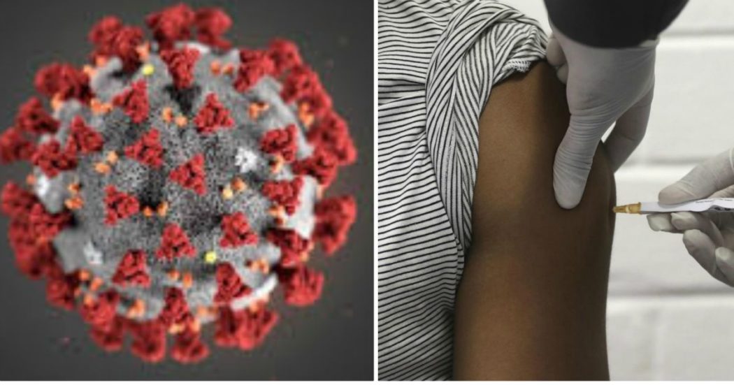La sfida umana al Covid 19, giovani volontari cavie esposti al virus per testare i vaccini. “Accelerare non significa bypassare la sicurezza”