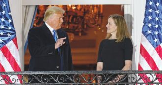 Copertina di I “siluri” di Donald: riconteggi e Corti (federali e Suprema)