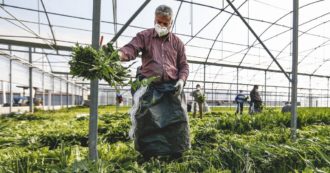 Copertina di Reddito, altro che divanisti. Al lavoro in più di 350mila