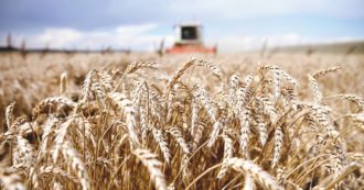 Copertina di De Cecco, guerra totale tra i familiari-soci del colosso della pasta