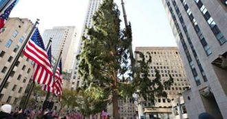 Copertina di Spelacchio a New York: l’albero di Natale del Rockfeller Center scatena l’ironia. Ma tra i suoi rami c’è una sorpresa