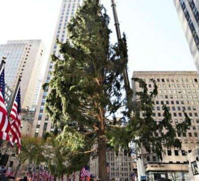 Spelacchio a New York: l’albero di Natale del Rockfeller Center scatena l’ironia. Ma tra i suoi rami c’è una sorpresa