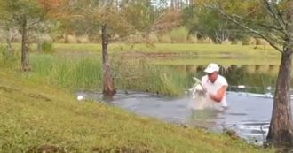 Copertina di Lotta a mani nude con l’alligatore per salvare il suo cucciolo. L’incredibile scena ripresa in Florida