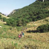 Foto di Terre di mezzo, Irene Marraffa